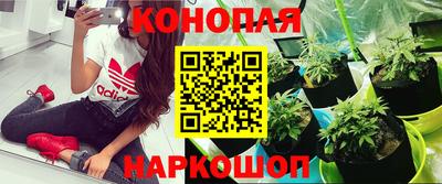 кокаин перу Шебекино
