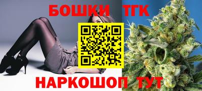 бошки Шелехов