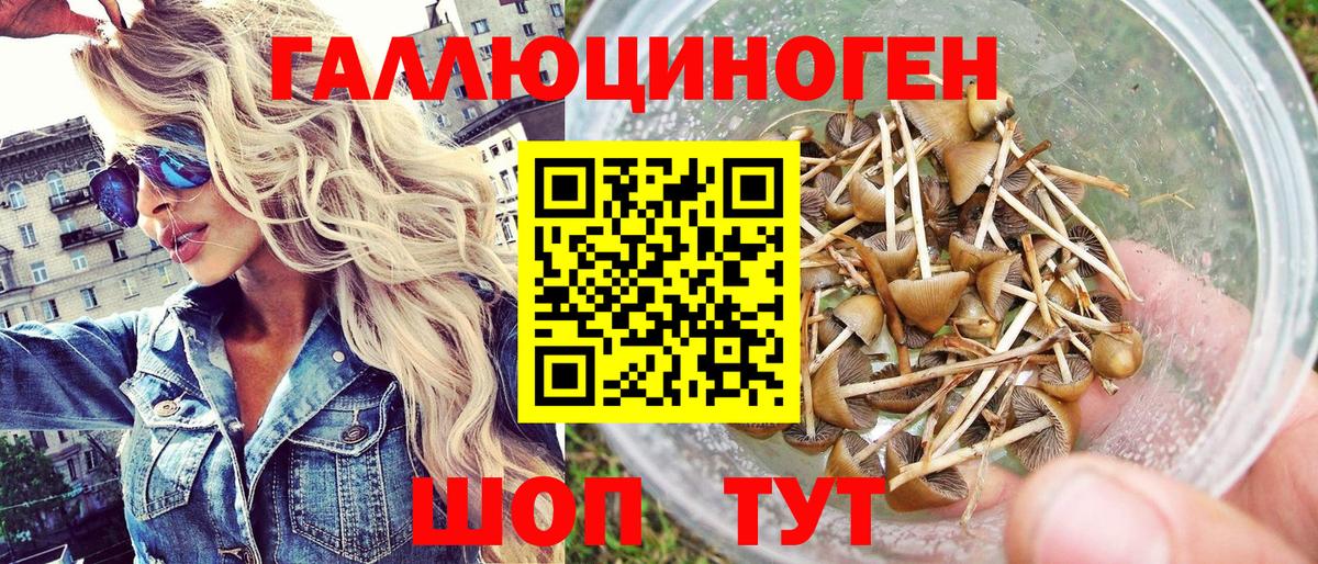 Галлюциногенные грибы мицелий  где продают наркотики  Ртищево  Вход с VPN  Псилоцибиновые грибы MAGIC MUSHROOMS 